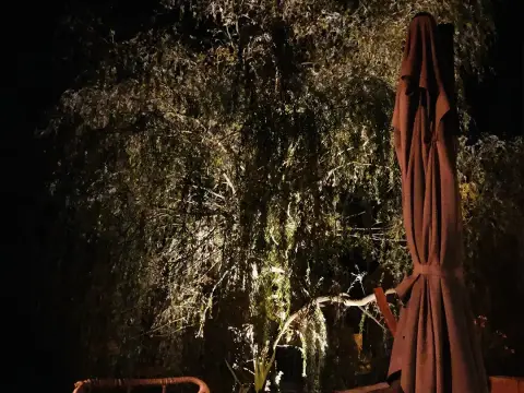 Installation domotique à Thanvillé Bas-Rhin