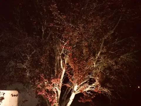 Installation domotique à Thanvillé Bas-Rhin